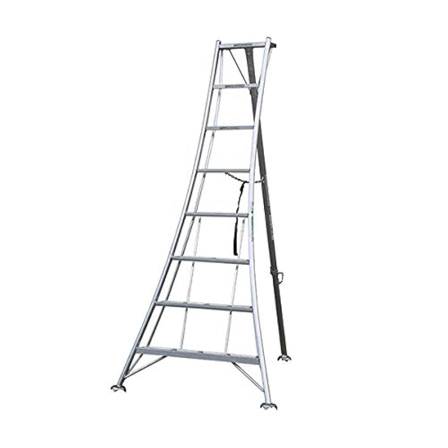 Amazon.co.jp: ALINCO オールアルミ製三脚脚立2.47m 7段 KWX240